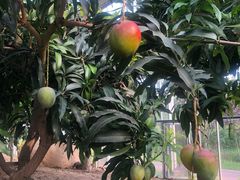 -南通洲际绿博园