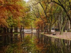 -上海共青森林公园