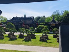 -盆景园(扬州大运河文化旅游度假区)