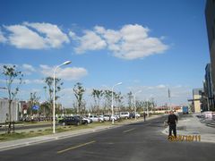 -上海市第六人民医院(临港院区)