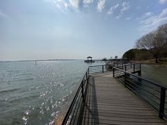 -莲花岛景区