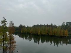 -白鹭湾湿地公园