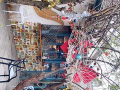 -喵屿·大理花园猫咖