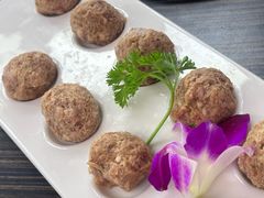 -蒙星月涮肚火锅城(宏运家园店)
