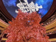 -永利澳门酒店