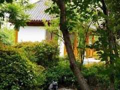 -郑州银基黄帝宫御温泉