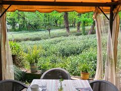 -野蔓果·山野菜(西湖景区·龙井茶田店)