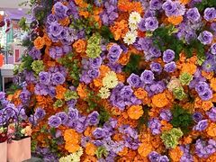 -万达广场(北京槐房店)