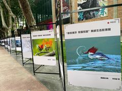 -西安电影制片厂