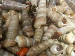 麻辣丁螺-胖姐活羊烧烤家乡菜(刘家桥店)