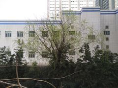 -名士豪庭