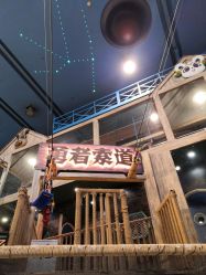 -卡通尼·Safari非洲探索乐园·生日会(金桥国际商业广场店)