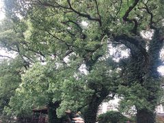 -普陀山雷迪森庄园