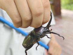 -青龙山国家森林公园