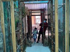 -北京动物园-畅观楼