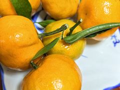 -嘉峪关伊俩寺烤肉店