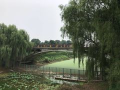 -赵州桥景区