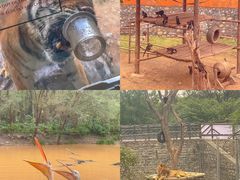 -济南野生动物世界