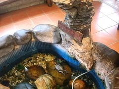 -御膳粥·牛乳粥底火锅·地道顺德菜(容桂店)