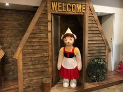 -济州岛泰迪熊博物馆