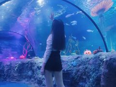 -沈阳海洋探索中心