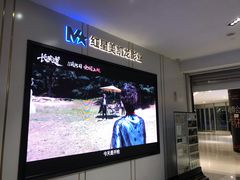 -红星电影世界上海张江绿地店
