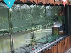 景点-南宫五洲植物乐园