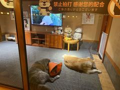 -大江户·温泉洗浴(浑南店)