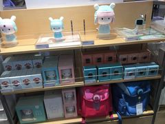 -小米之家(东方宝泰购物中心店)