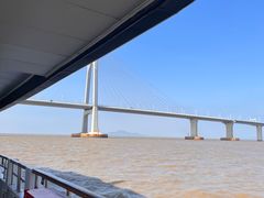 -招商蛇口邮轮母港(观光客运)