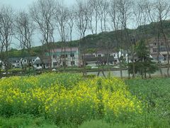 -上海杨姆庄园