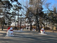 -长春市南湖公园