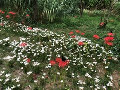 -贵阳市花溪国家城市湿地公园