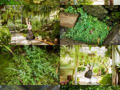 -深圳仙湖植物园