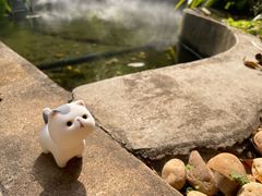 -广州兰圃