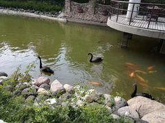 -芭东小镇温泉
