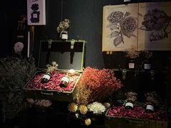 -虹汐诺雅·养生SPA·汤泉足道(胜利路店)