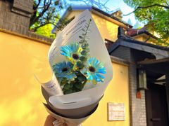 -颐和路民国时期公馆风貌区
