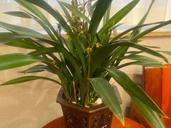 -宁味楼·西北创新融合菜(康平路锦泰店)