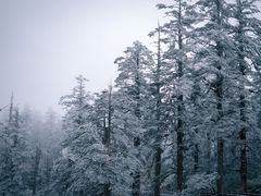 -瓦屋山景区