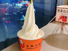 冰淇淋-怂火锅厂(海口国贸店)