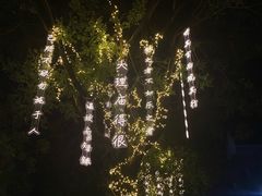 -大理文庙(大理古城)