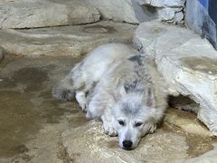 -石林冰雪海洋世界