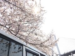 -南浦大桥长途旅游客运站