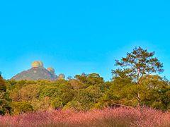 -鼓岭旅游度假区