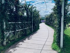 -老姐石板烧烤+铜炭火锅(总店)