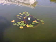 -上海第二工业大学(金海路校区)