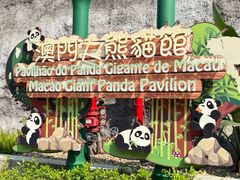 -石排湾郊野公园