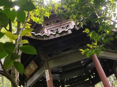 -杭州半山国家森林公园