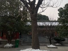 -开封包公祠